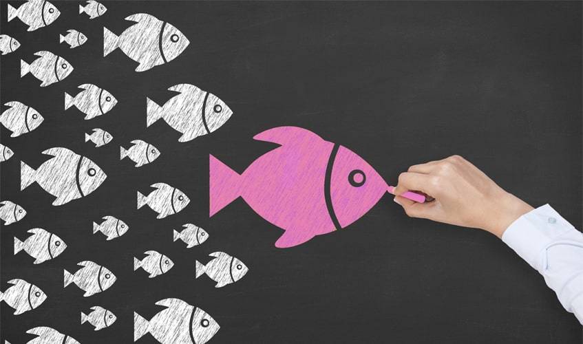 Become an Instagram Influencer New