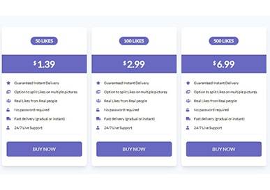 Stormlikes Buy Instagram Likes