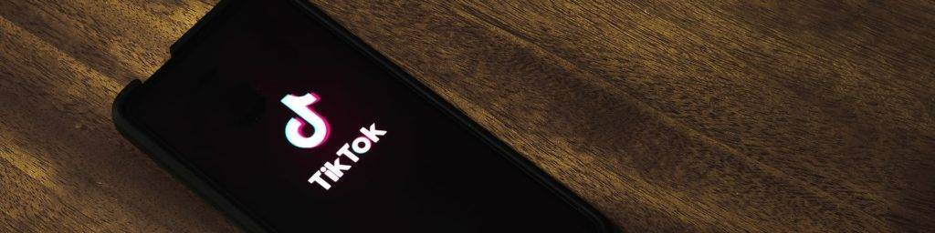 TikTok Memes: 33 of the Most Dazzling Videos From Internet Lovers